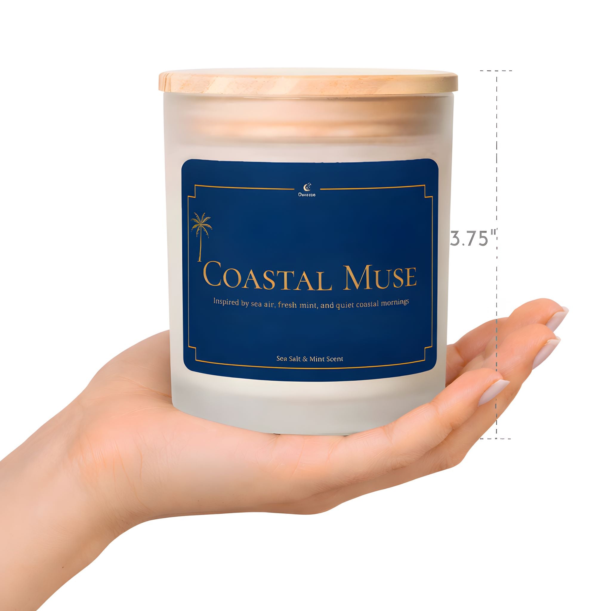 Candle labeled 'Coastal Muse' held in a hand showing actual dimensions.